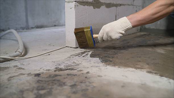 24/7 Emergency Waterproofing experts in Shepherd, MI